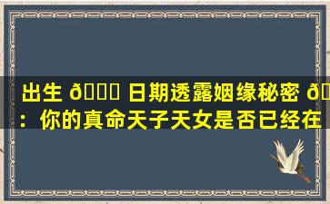 出生 🐛 日期透露姻缘秘密 🐶 ：你的真命天子天女是否已经在来的路上